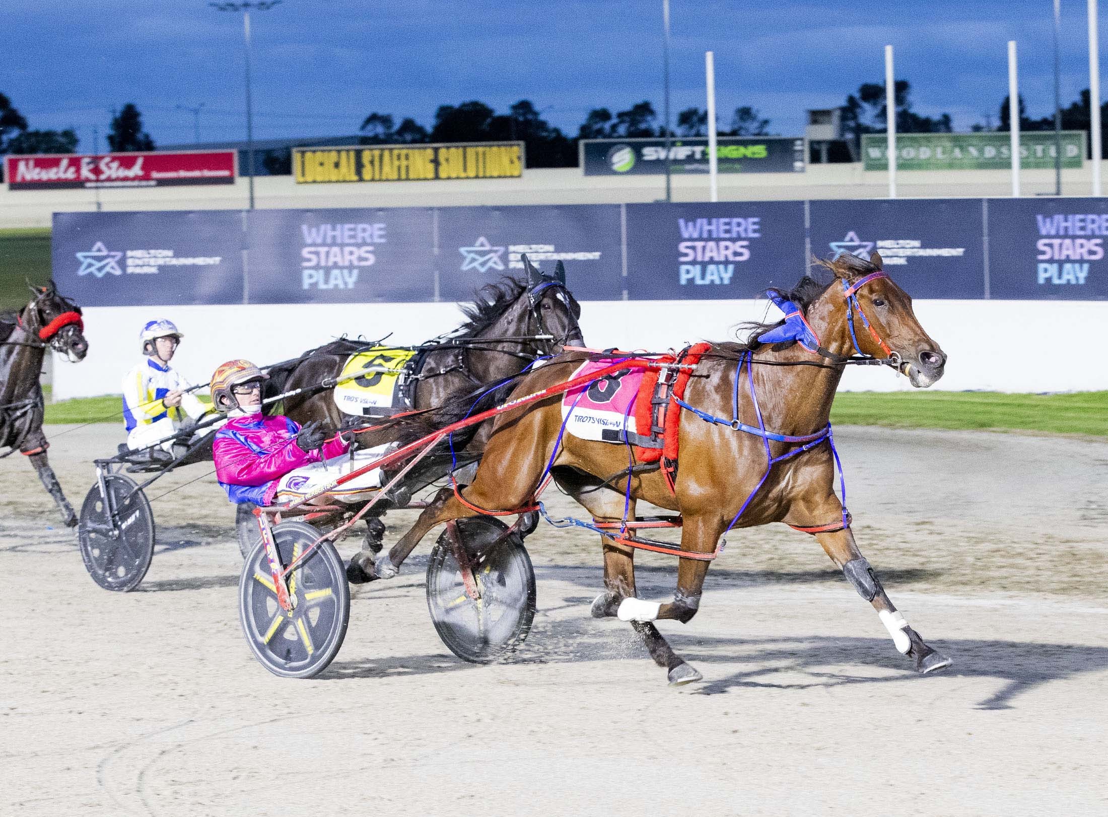 bulletproof-boy-closes-in-on-50-wins-after-melton-victory