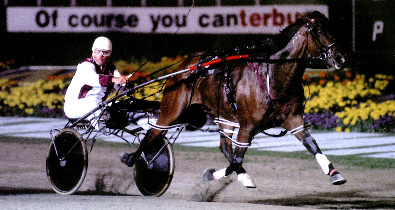 hamilton-dalgetys-full-circle-cup-quest