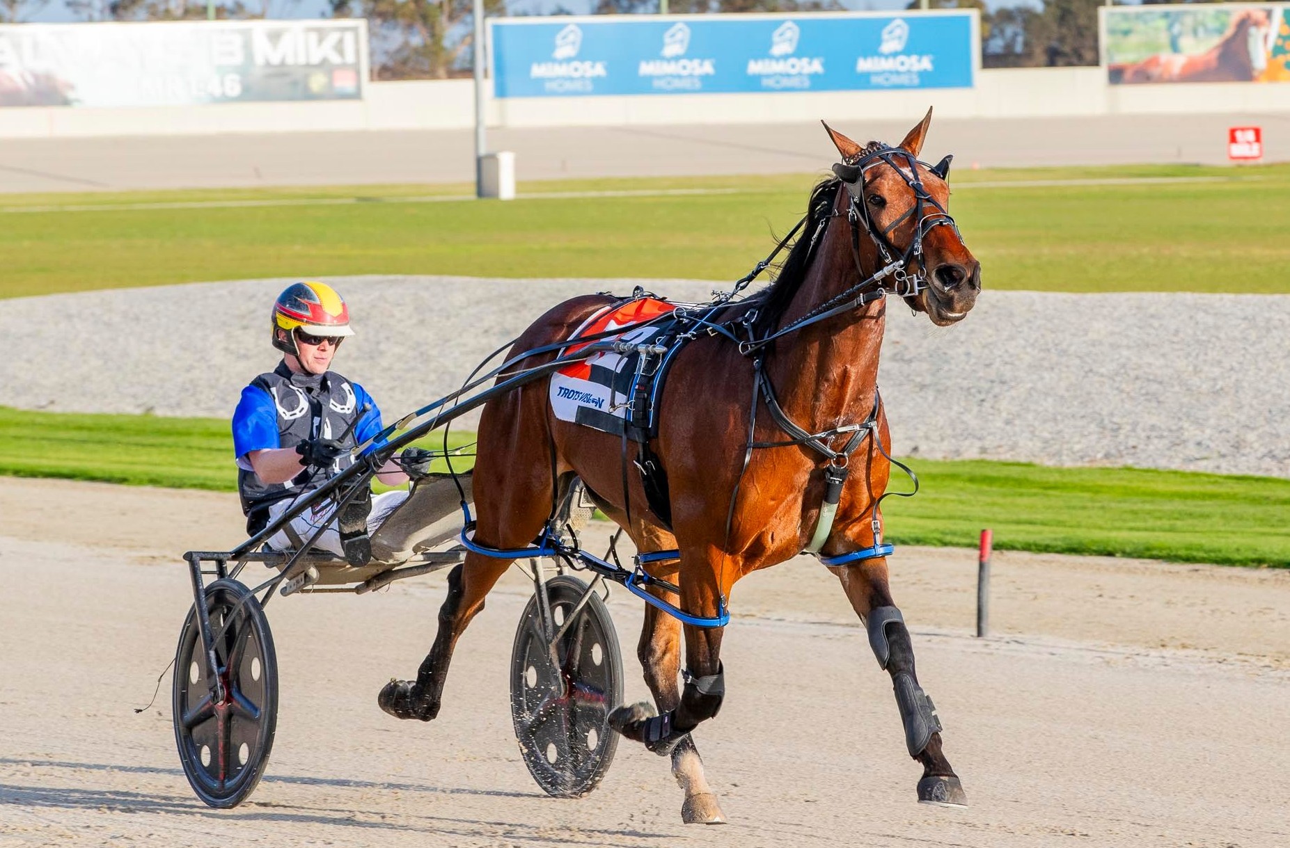 all-eyes-on-ararat-as-birchip-slot-holders-prepare-to-confirm-runners