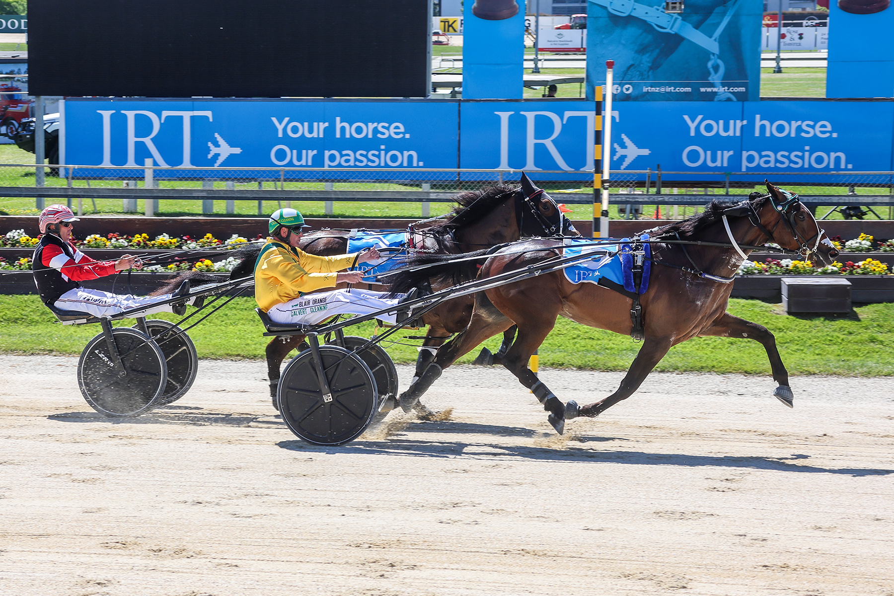 ray-gives-lilley-group-1-victory-on-home-soil