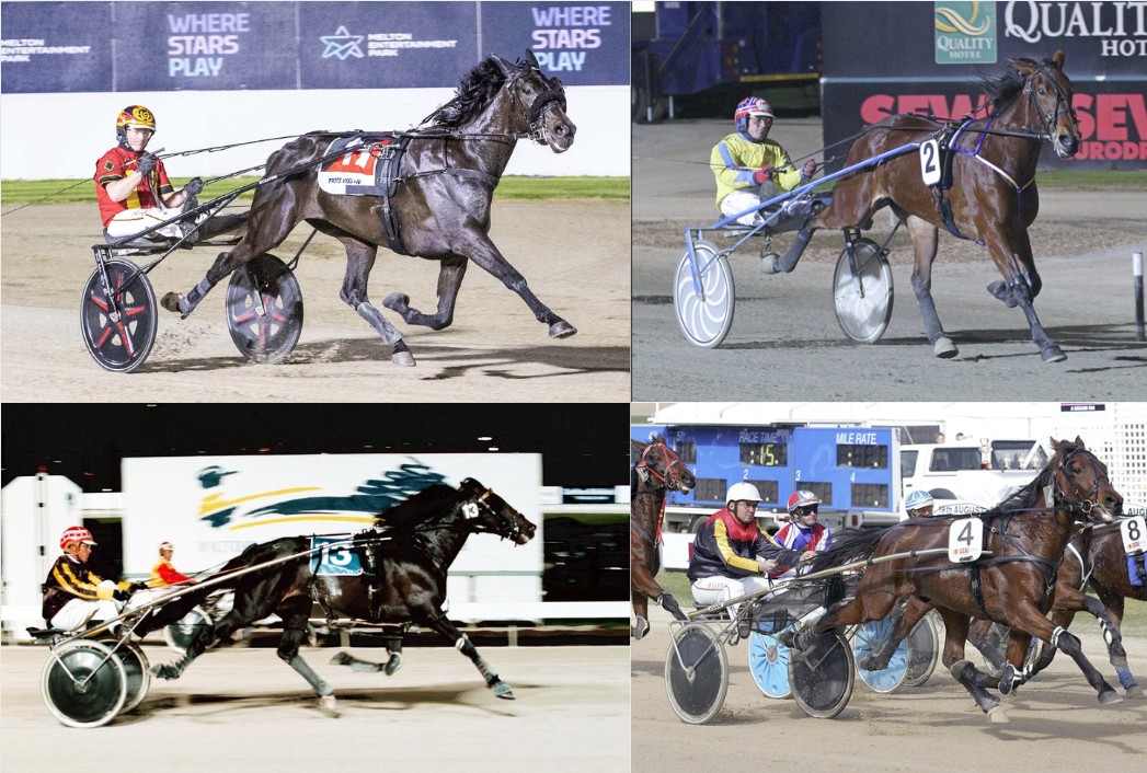 wharton-six-vicbred-champions-have-breeding-links-to-past-winners