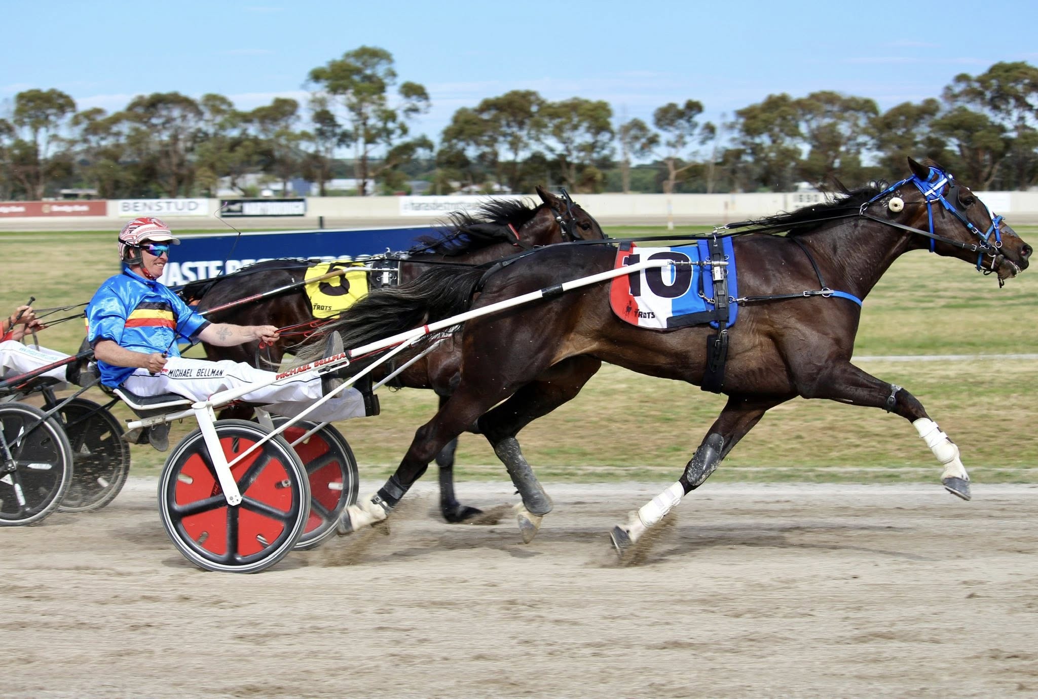 wharton-trotters-derby-winner-is-pretty-damn-good