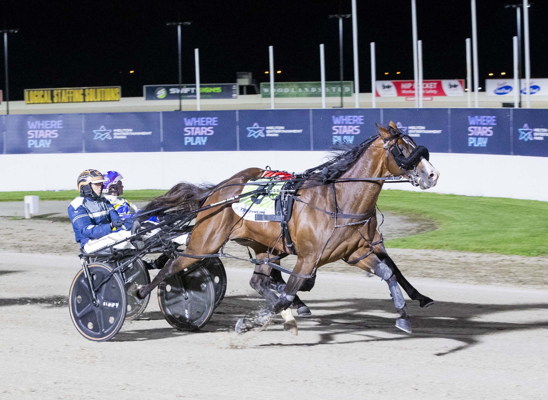 stewart-dominates-vicbred-finals-with-kiss-and-miki-to-success
