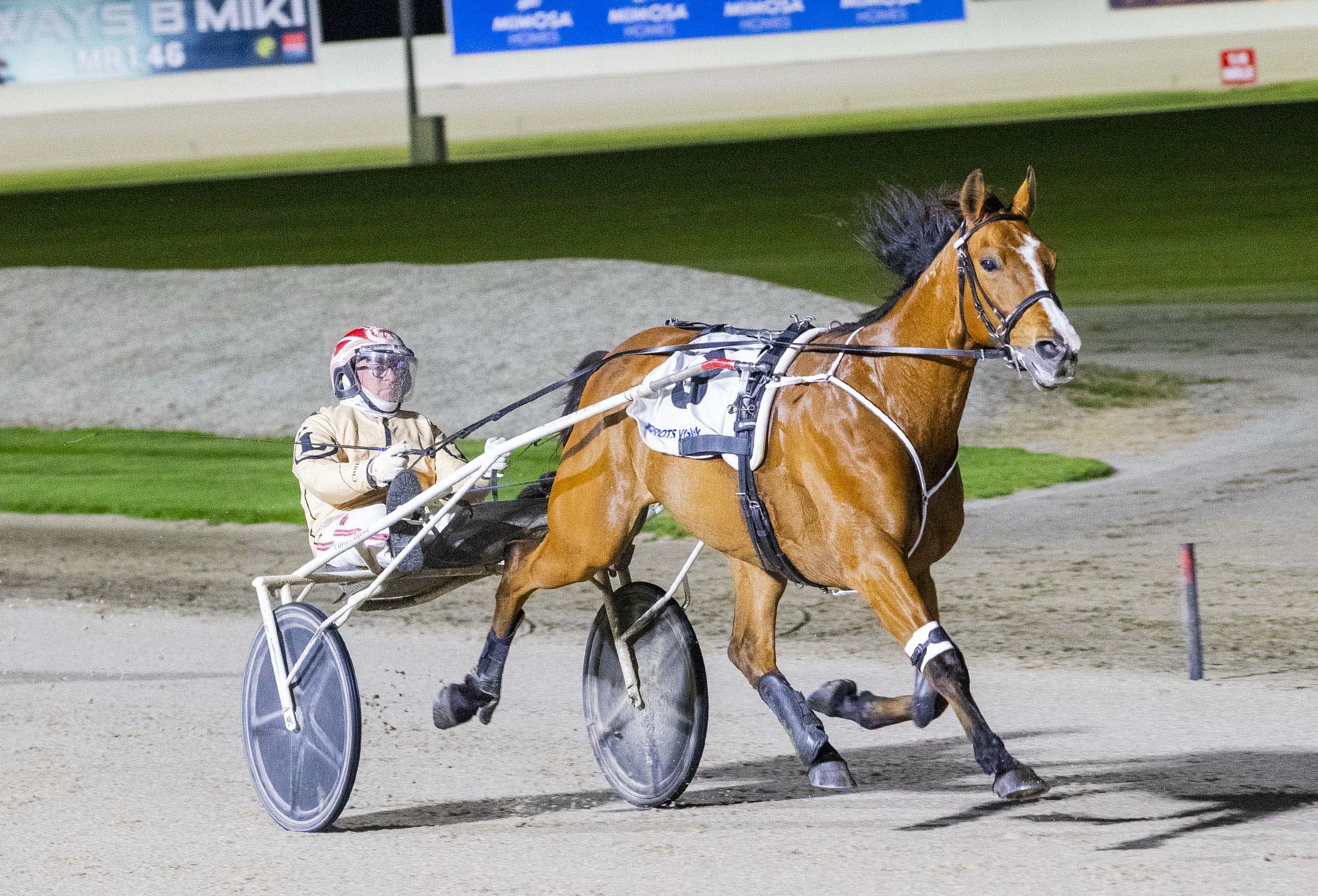 ollivici-breaks-drought-with-first-win-in-more-than-a-year