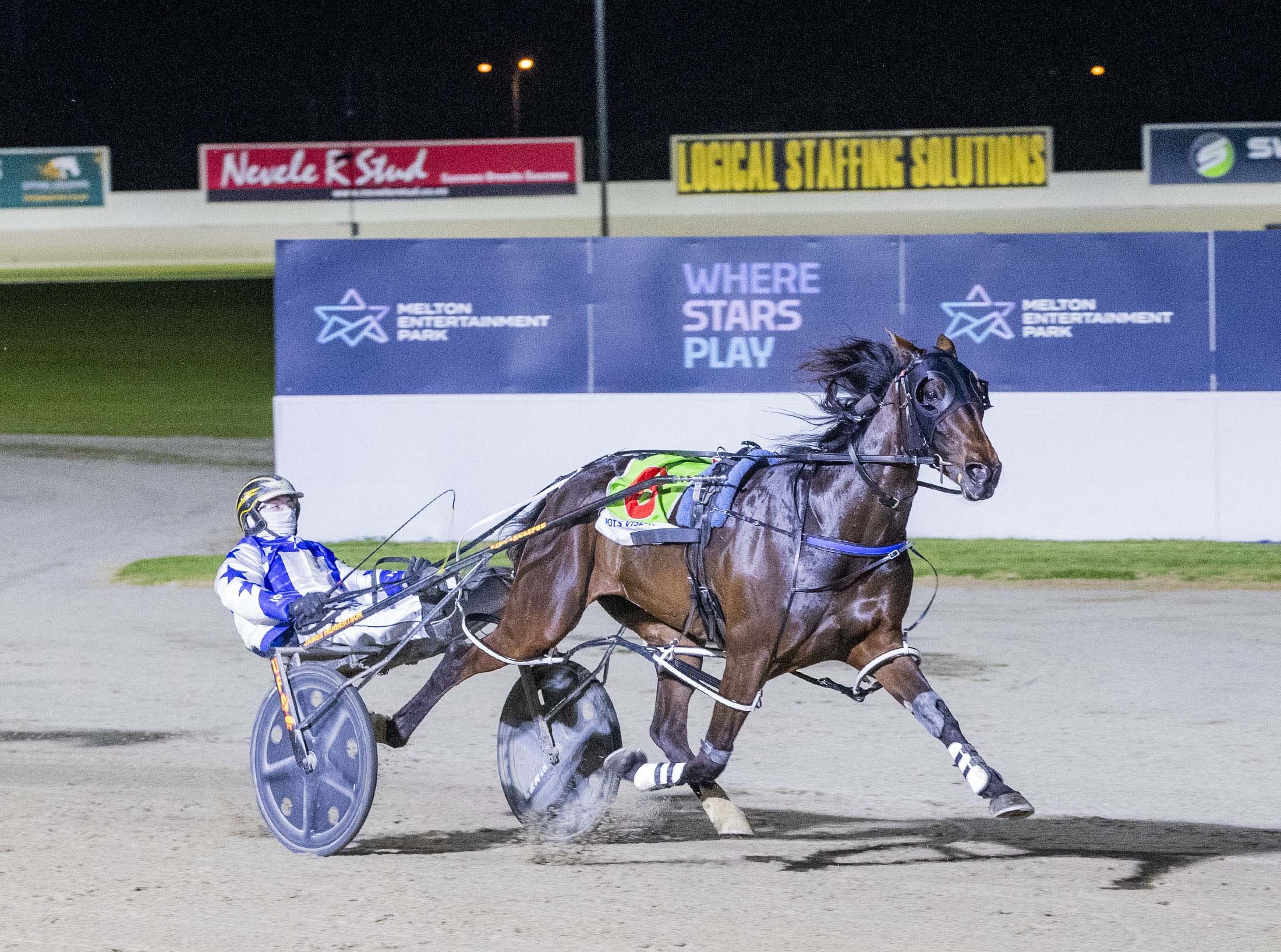 pet-kitty-and-test-of-fire-deliver-millar-another-perfect-night