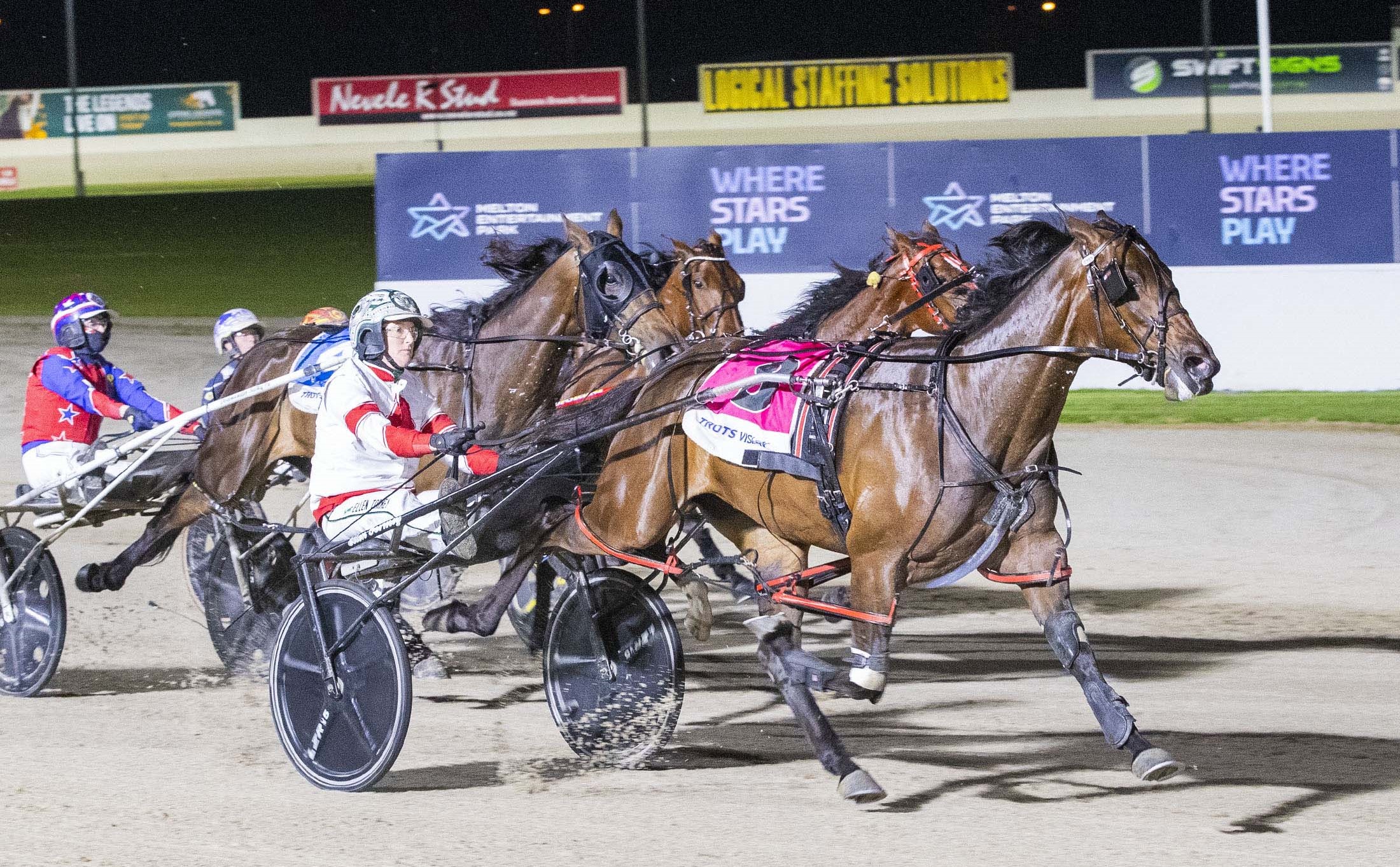 filly-a-chance-to-be-seniors-shining-star