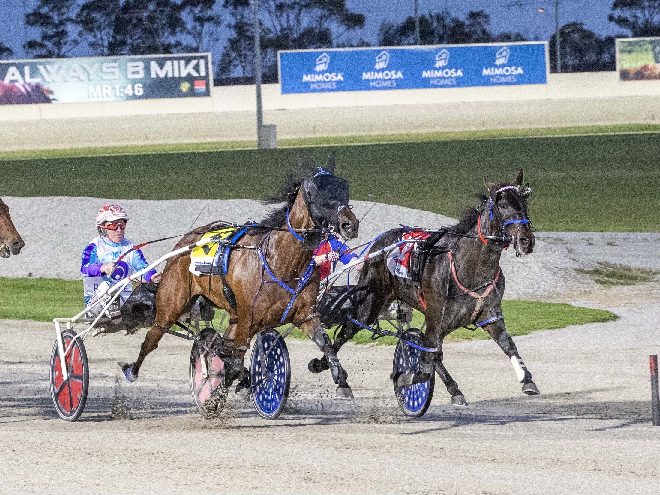 stars-emerge-as-apg-vicbred-super-series-finals-take-shape