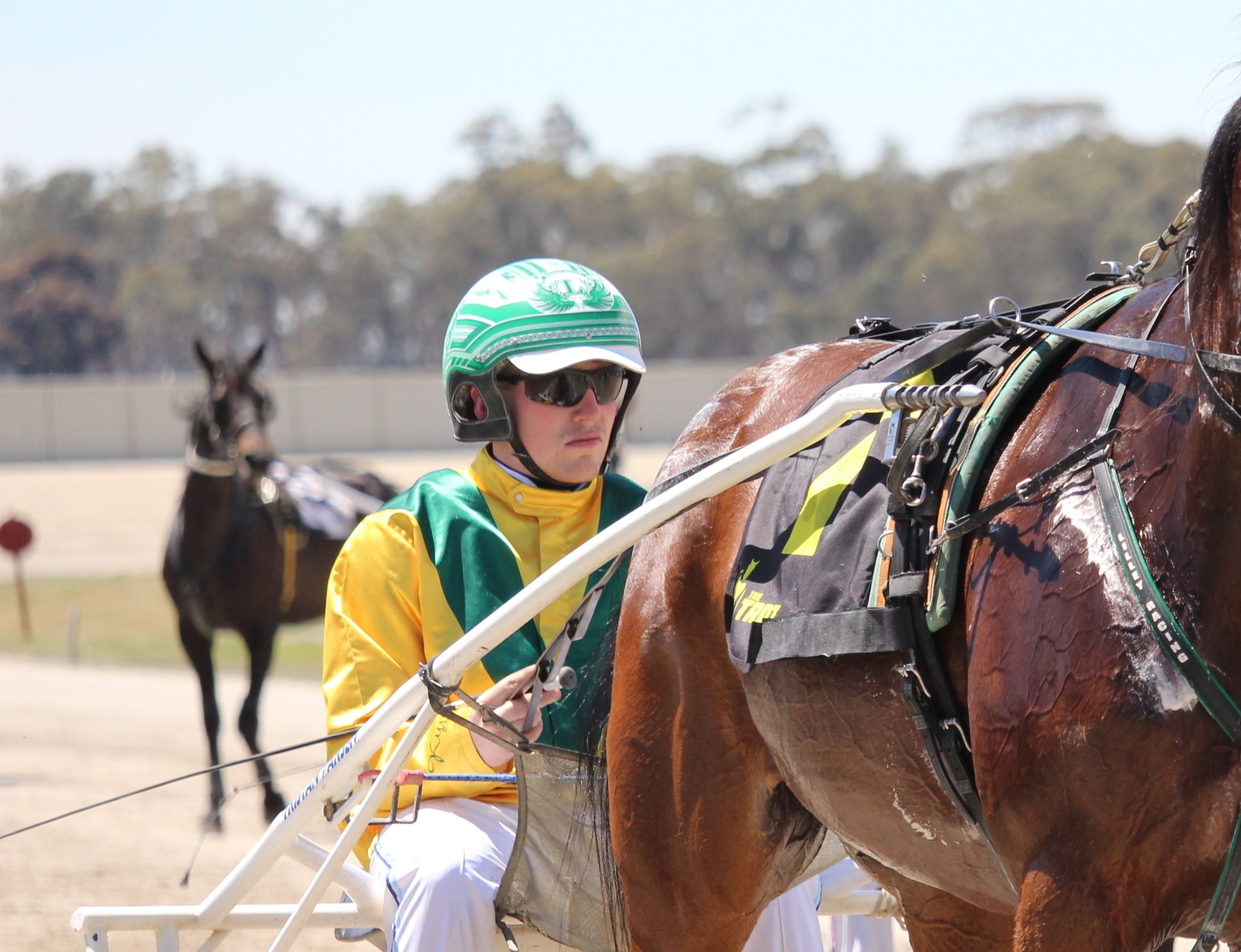 larsen-chasing-history-in-st-arnaud-trotters-cup