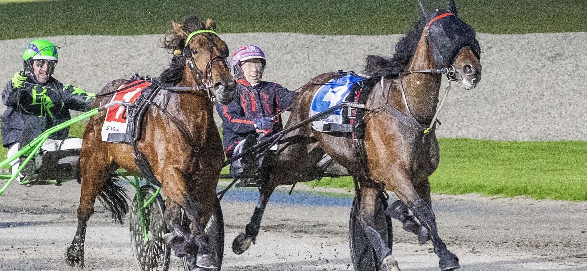 Adelaide Red_20251213