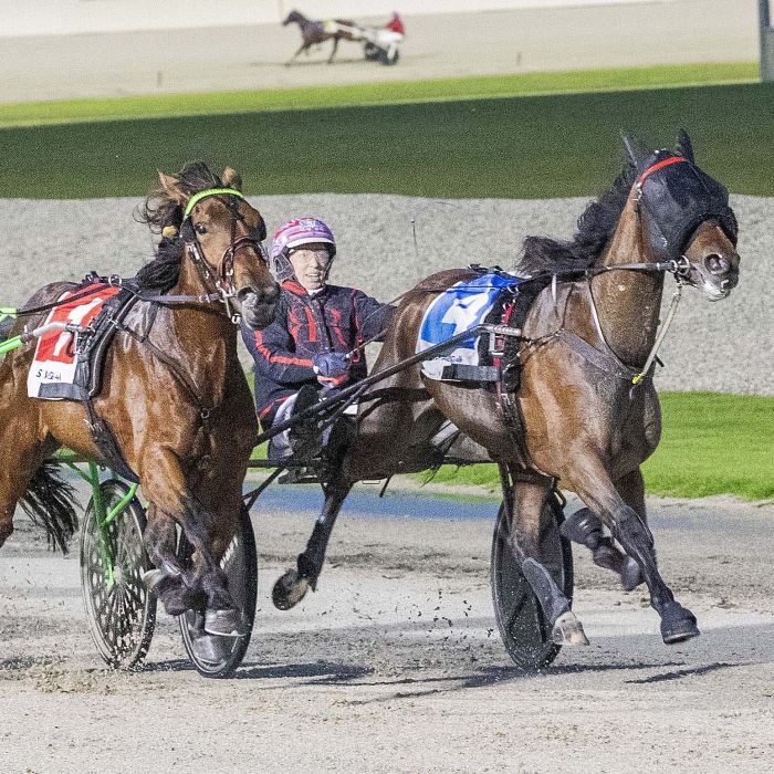 Adelaide Red_20251213