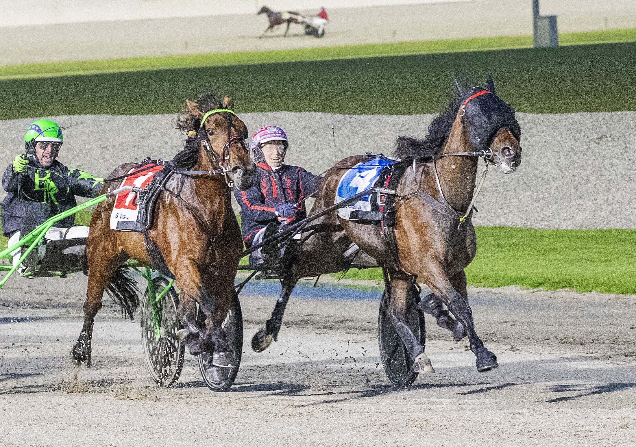 adelaide-gives-amy-a-maiden-group-1-in-breeders-crown-boilover