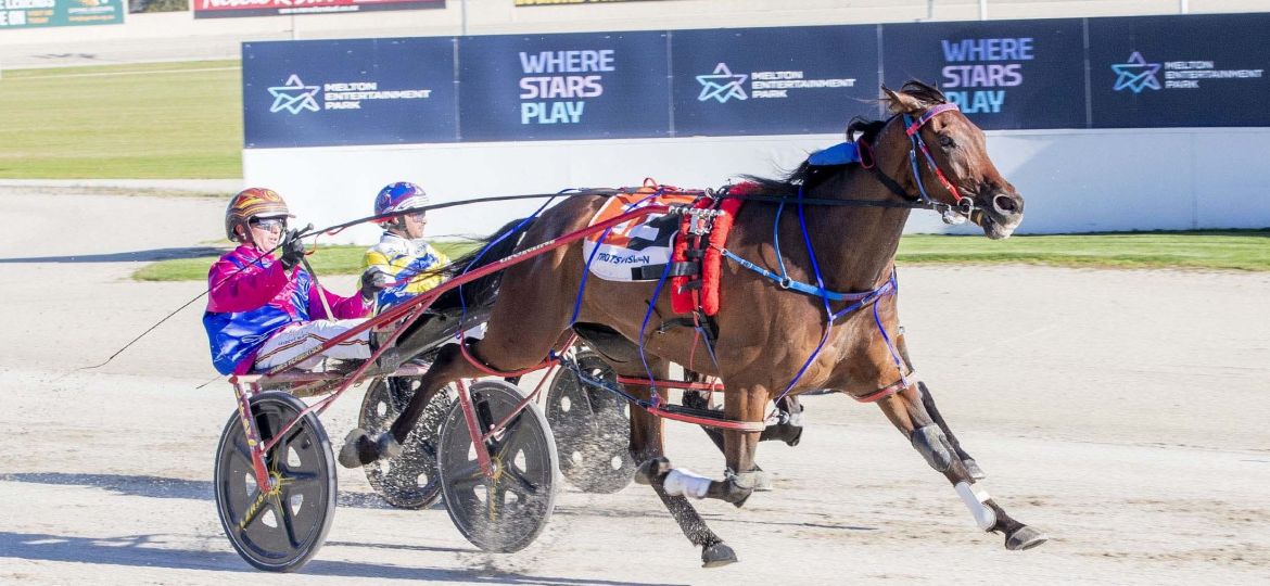 Bulletproof Boy_20251220 (1)