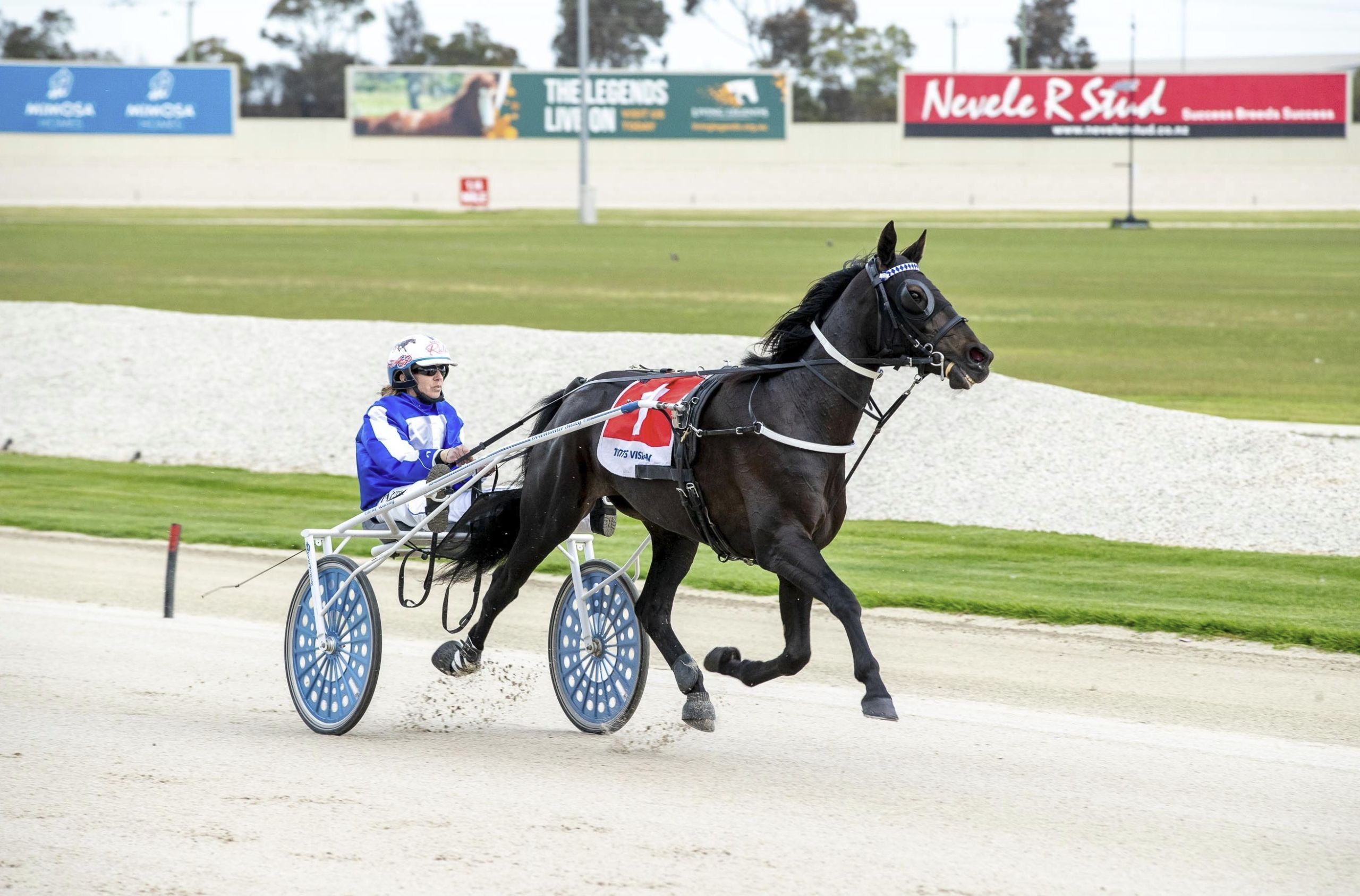 wharton-vicbred-silver-trotting-winner-is-just-fine