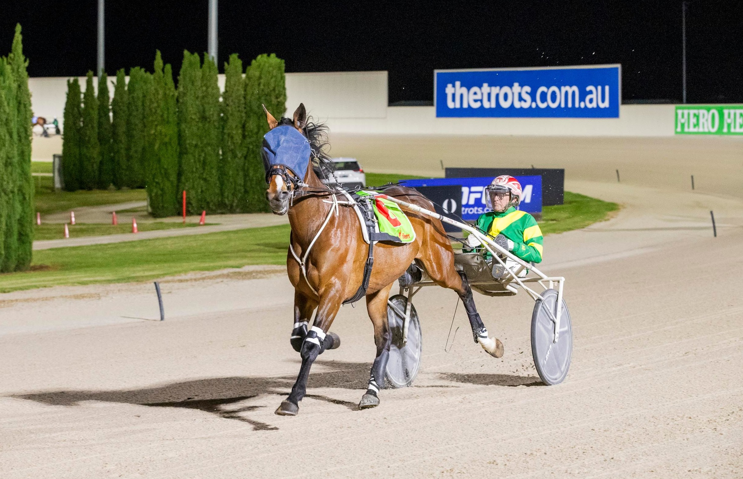 alford-wilma-up-with-the-better-trotters-ive-driven