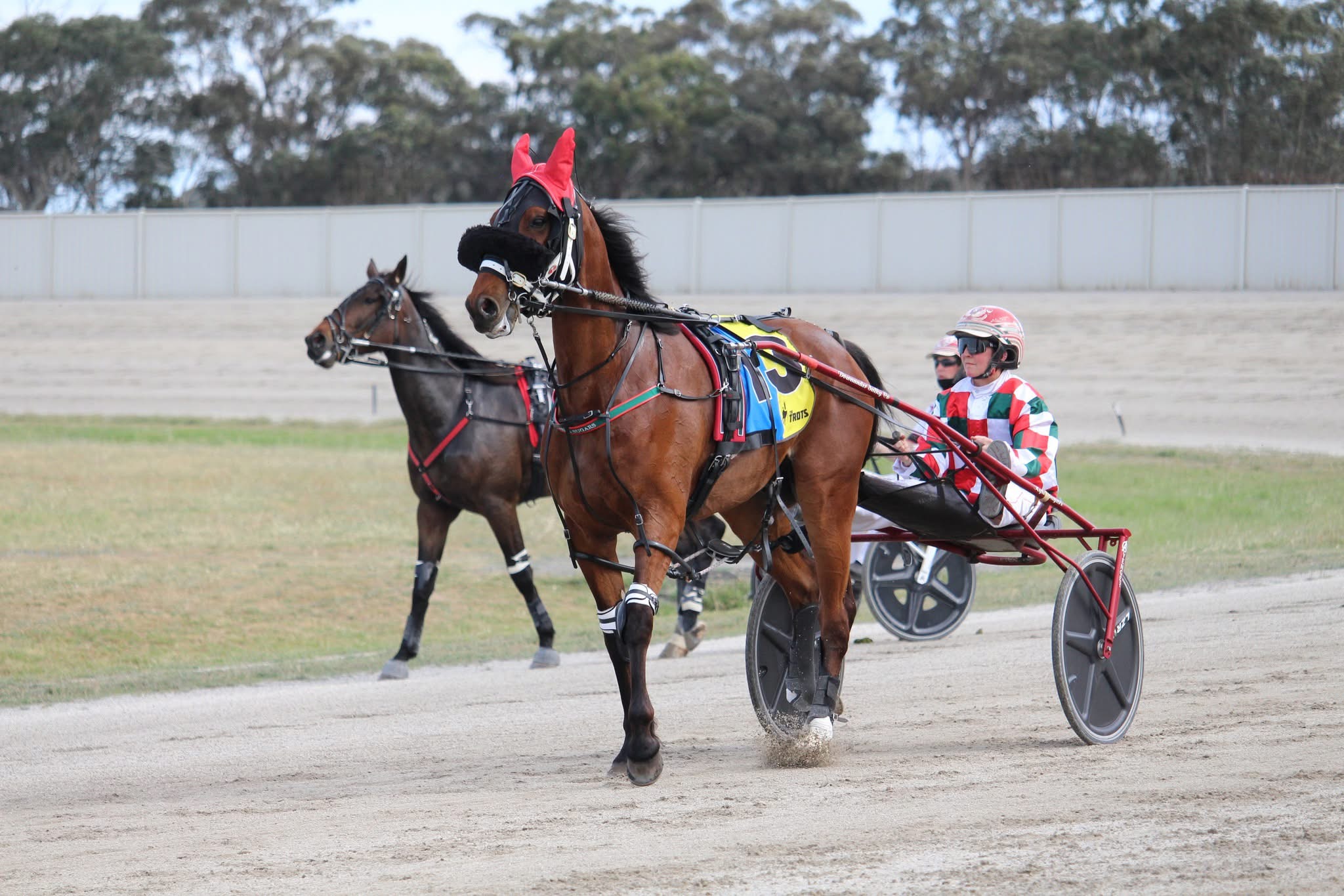 racing-on-as-kylie-sugars-finds-her-way-without-greg