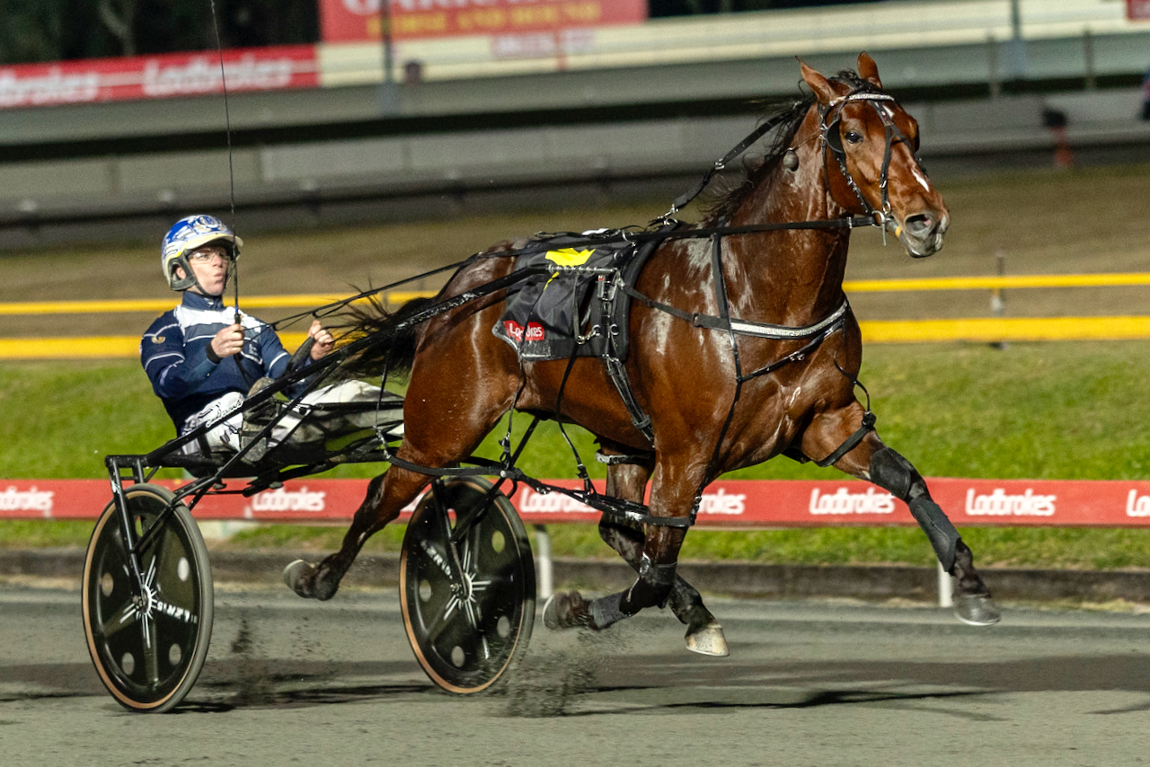 loucasso-launches-campaign-toward-harness-racings-richest-prize