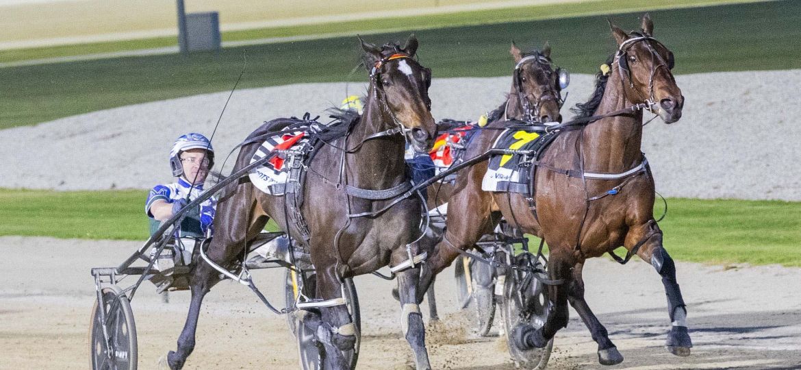 Mac Bon_20241116 (2)