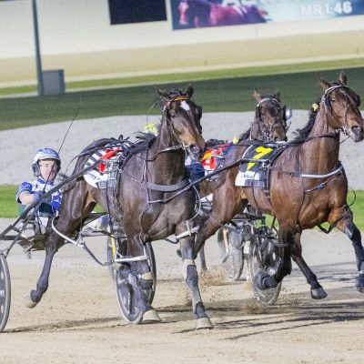 Mac Bon_20241116 (2)