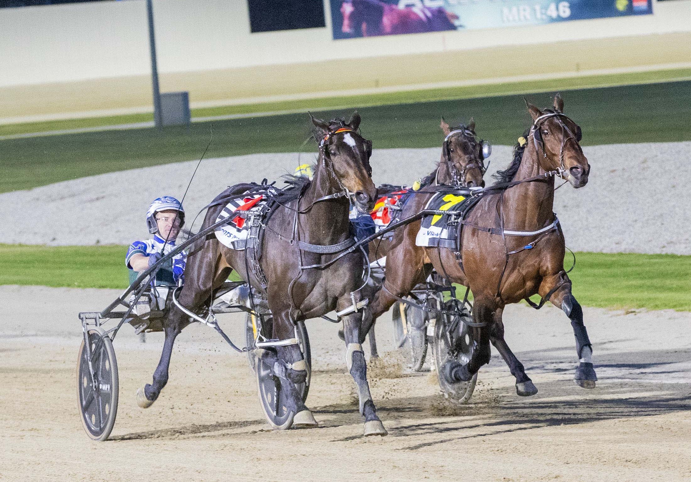 breeders-crown-winners-looking-to-do-it-again