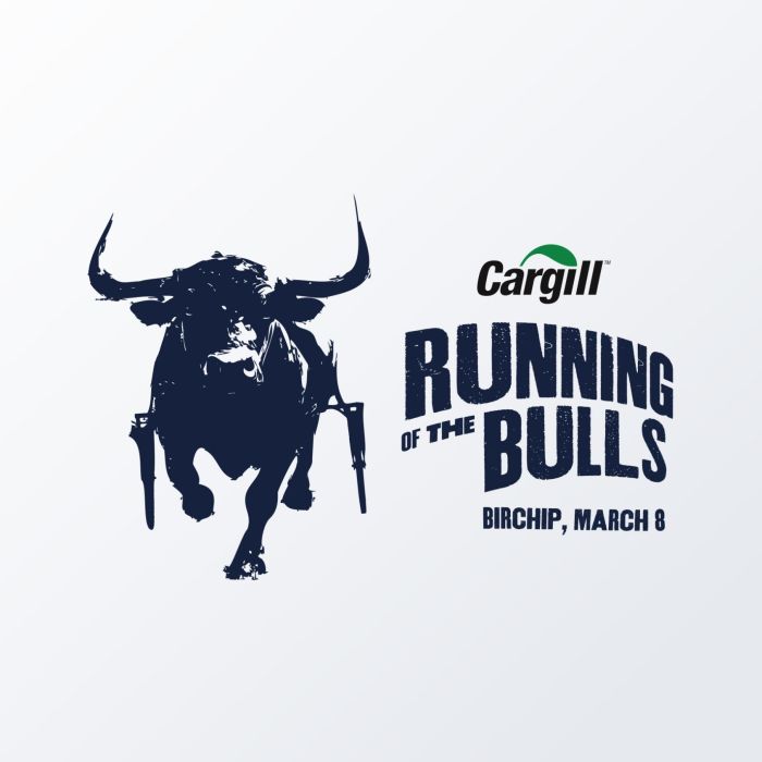 Running gof the Bulls Tile copy 1