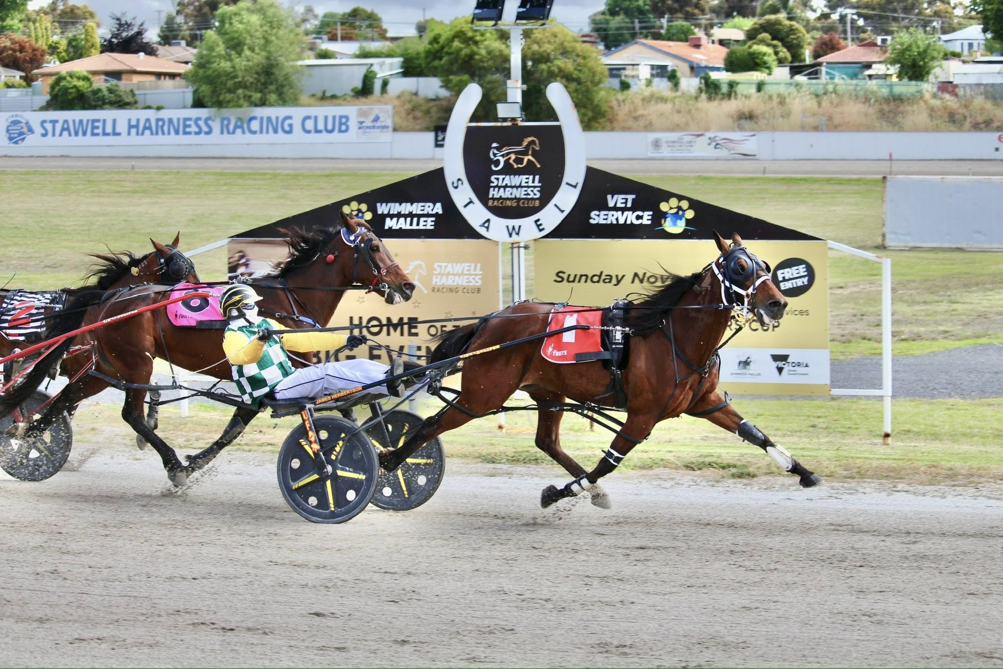 stawell-pacing-cup-gutsy-win-for-sir-nippa-and-jamieson-team