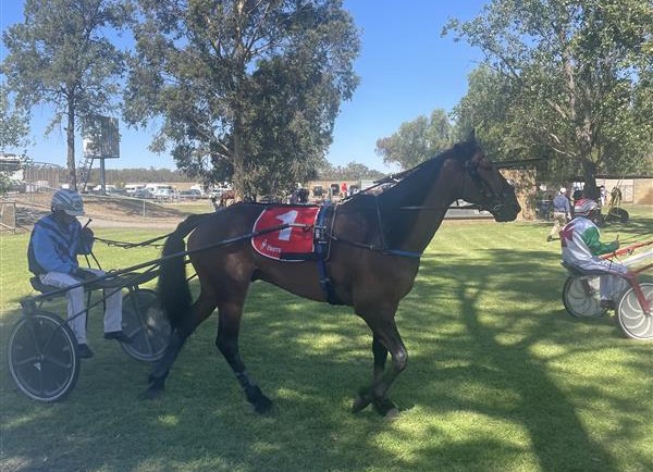 home-cup-glory-for-rudd-and-bennie-at-cobram