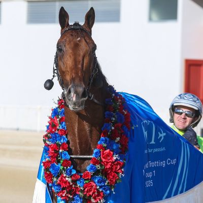 kingman