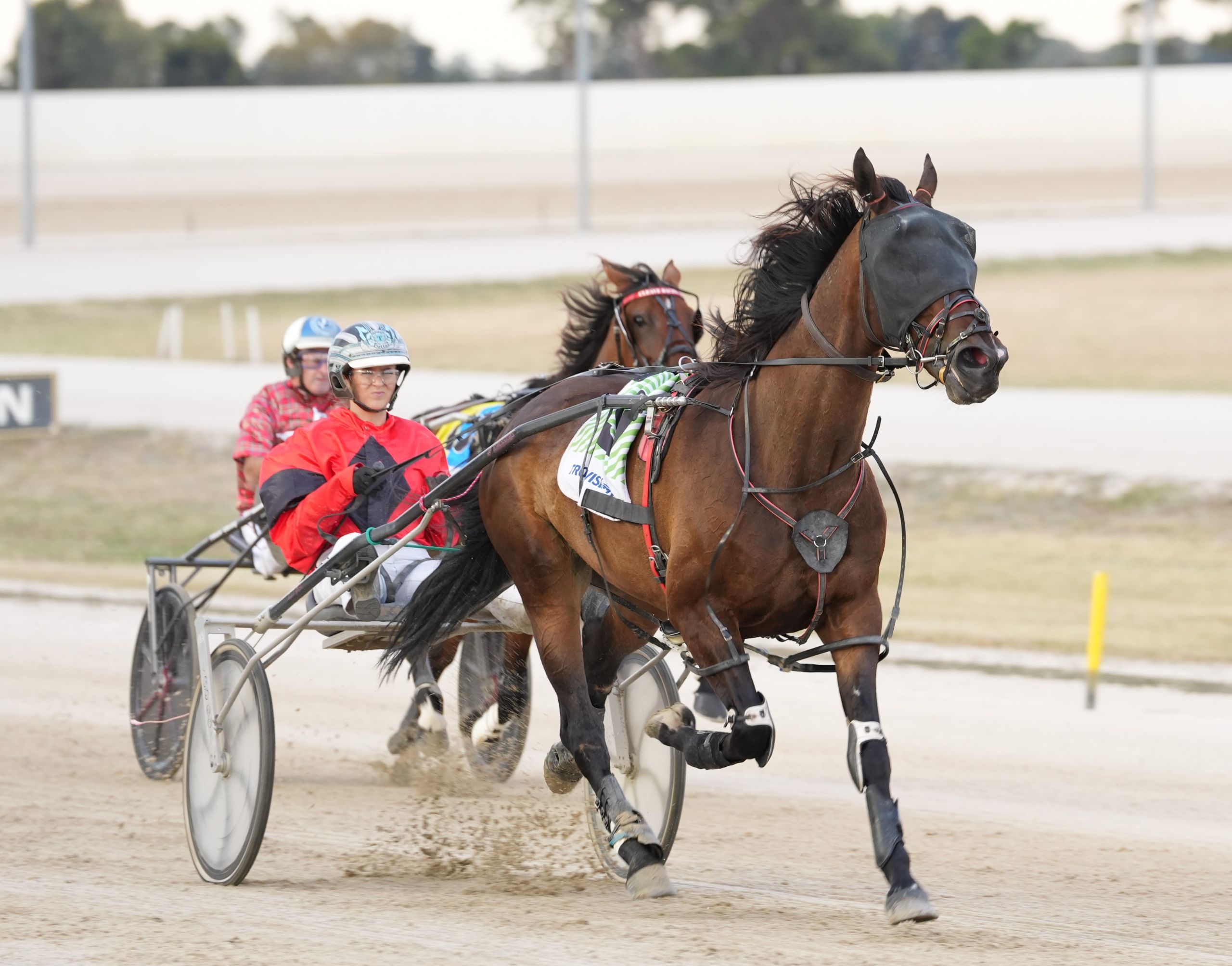 wharton-bargain-buy-to-shepparton-cups-double
