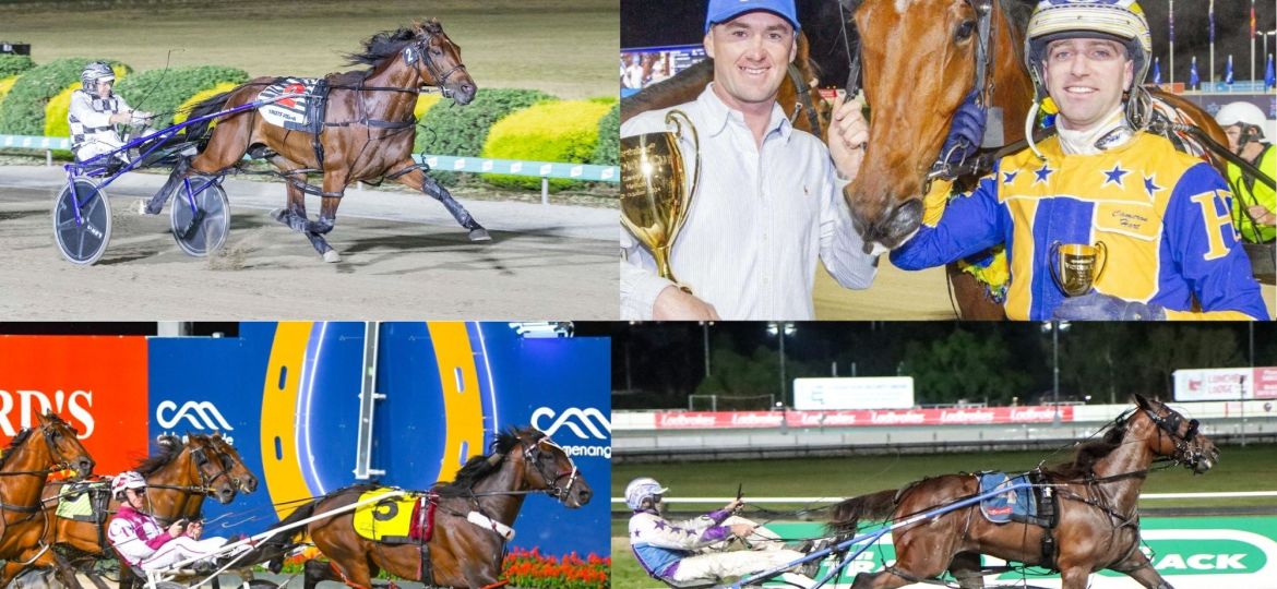 Untitled design - CUP FIELD