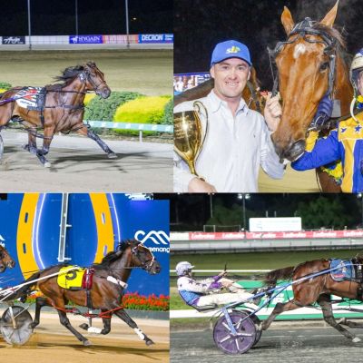 Untitled design - CUP FIELD