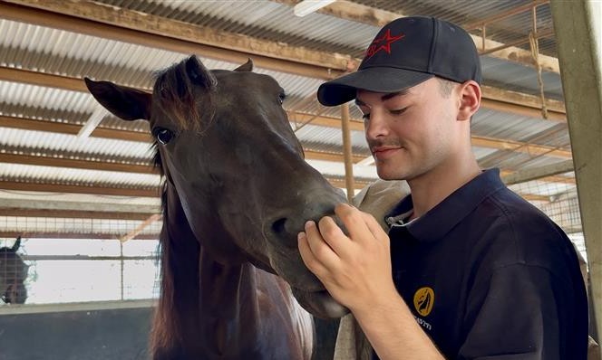 Ryan sanderson and atua magic