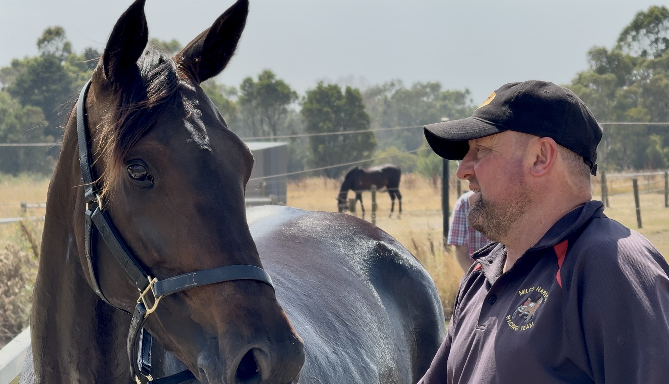 multiple-group-1-winner-rockinwithattitude-targets-cranbourne-trotters-cup