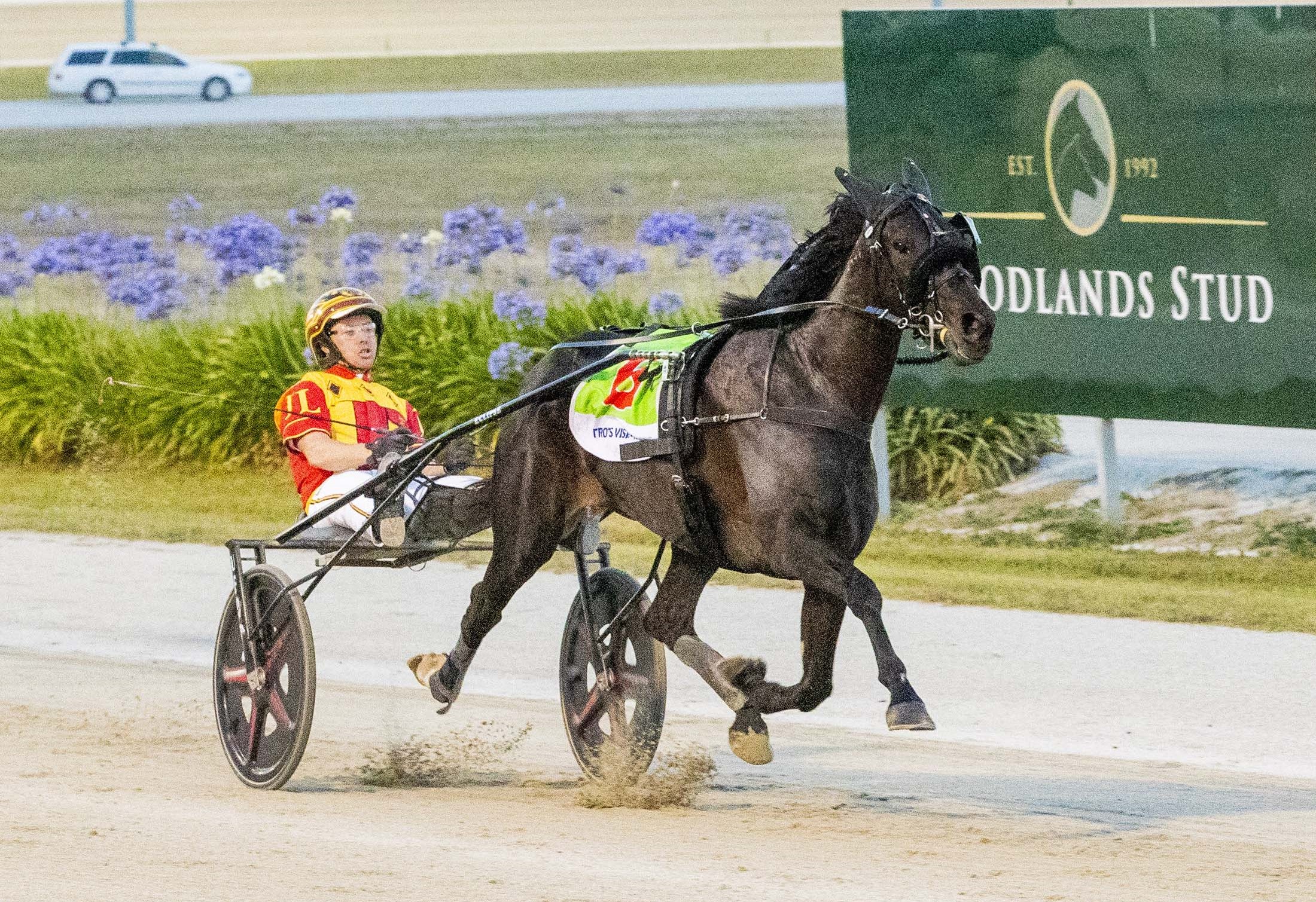 all-eyes-on-zahara-in-hammerhead-mile