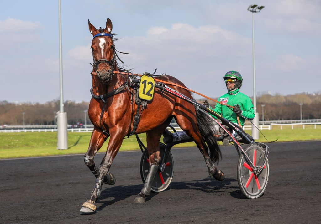 Vincennes - Samedi 1 mars 2025 - © Bruno Vandevelde - Le Trot