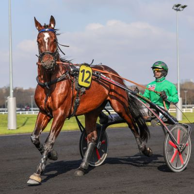 Vincennes - Samedi 1 mars 2025 - © Bruno Vandevelde - Le Trot