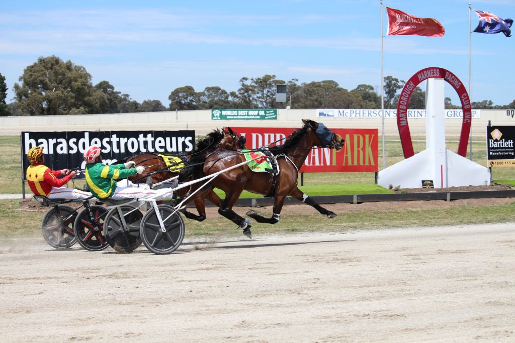 Maryborough generic