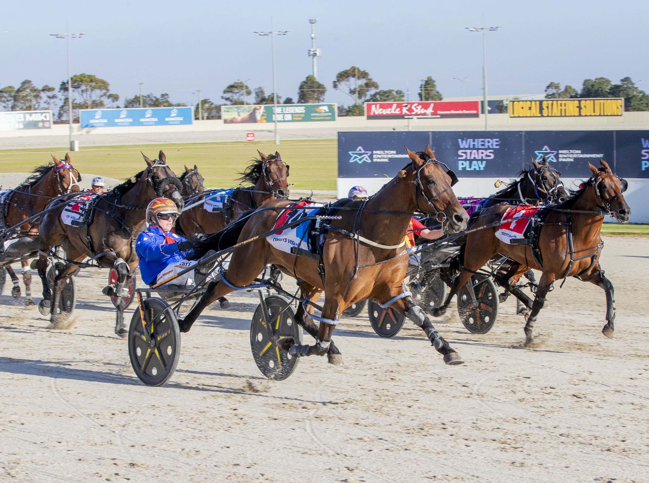 wharton-bargain-buy-paves-the-way-for-melton-winner