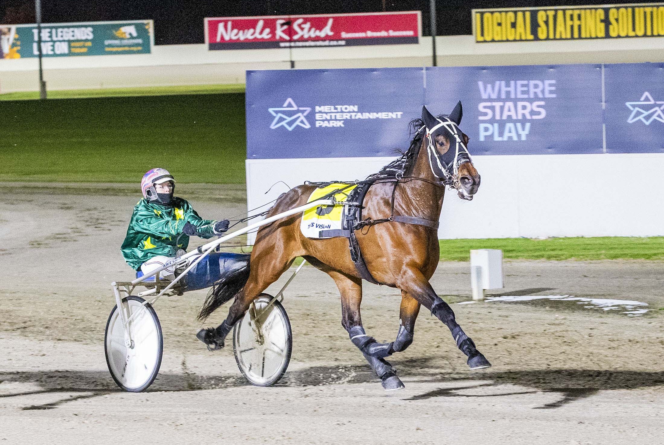 echoes-of-past-for-healy-as-alrighty-tackles-great-southern-star