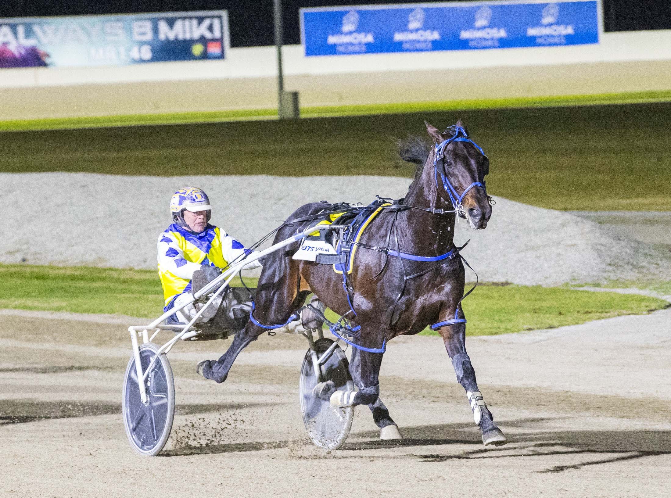 dunn-eyes-chariots-glory-with-forty-love