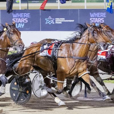 HUNTER CUP
