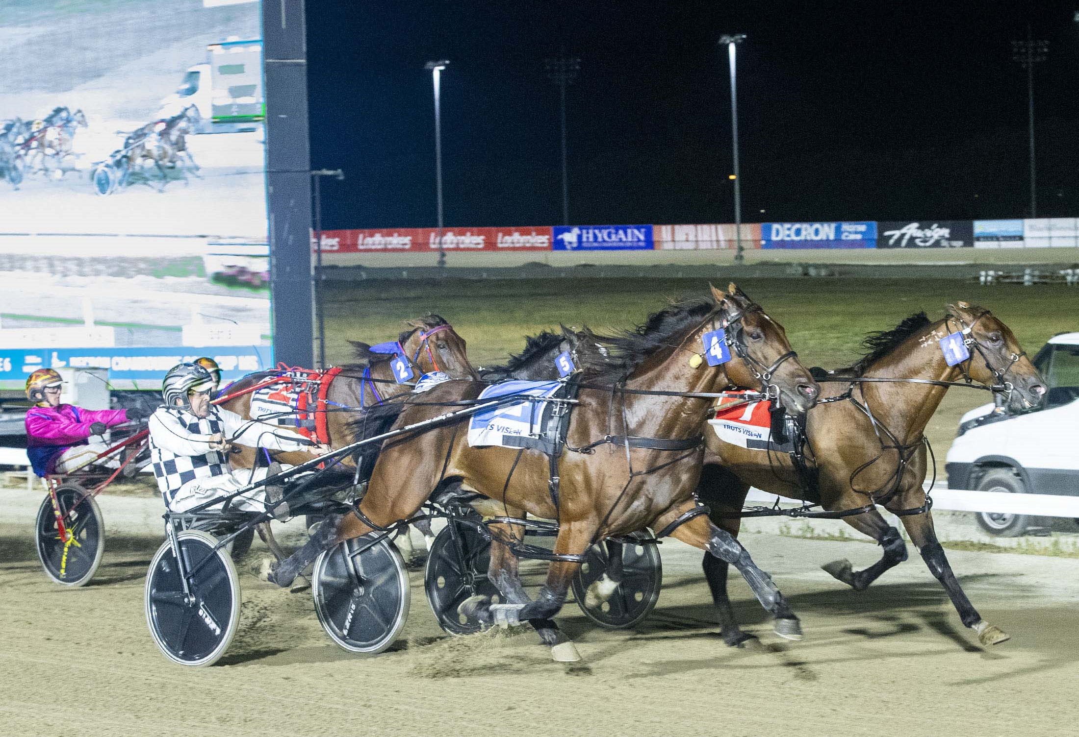 watch-larry-lunges-and-wins-a-cranbourne-cup-for-the-ages