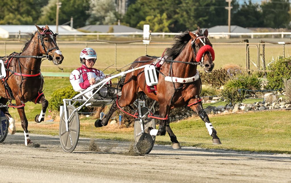 Republican Party Invercargill Cup 6413 2