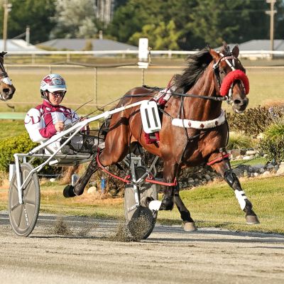 Republican Party Invercargill Cup 6413 2