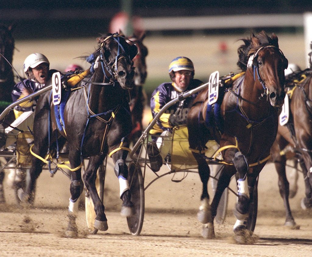 Safe And Sound - 2002HunterCup