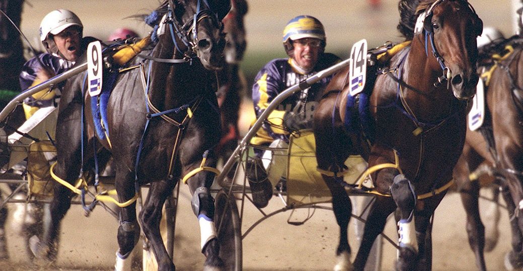 Safe And Sound - 2002HunterCup