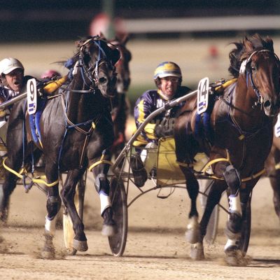 Safe And Sound - 2002HunterCup