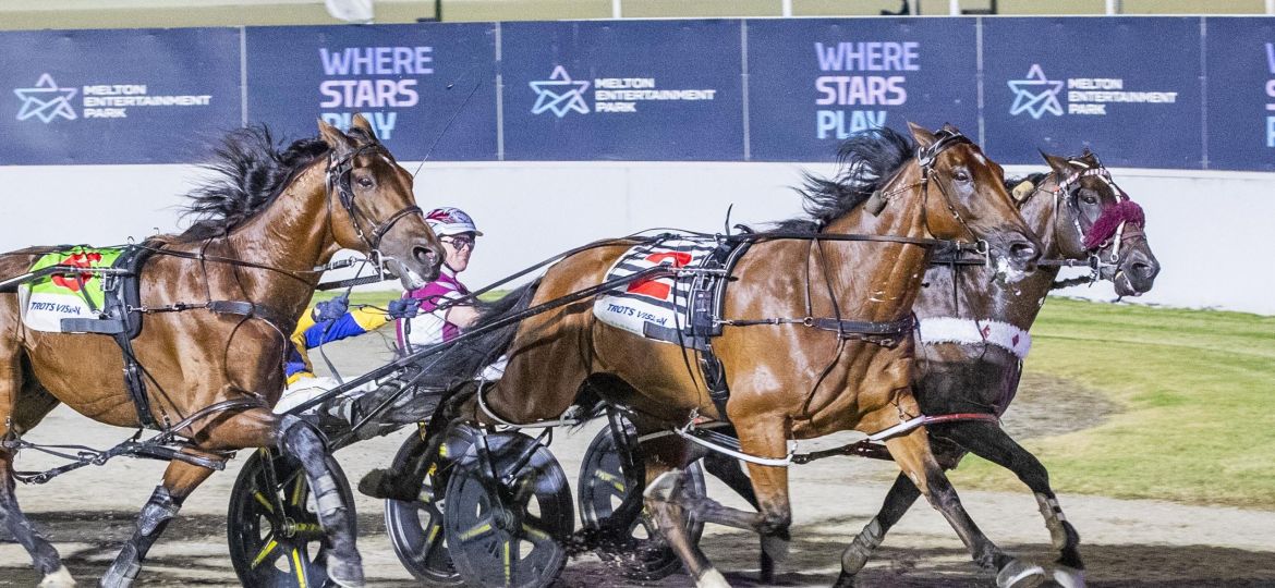 Race 6: Melton Park, Saturday 14-2-2026 Sportsbet A.G. Hunter Cup (Group 1)(No Nr.) Winner: Swayzee (2) Trainer: Jason Grimson; Driver: Cameron Hart photography: Stuart McCormick