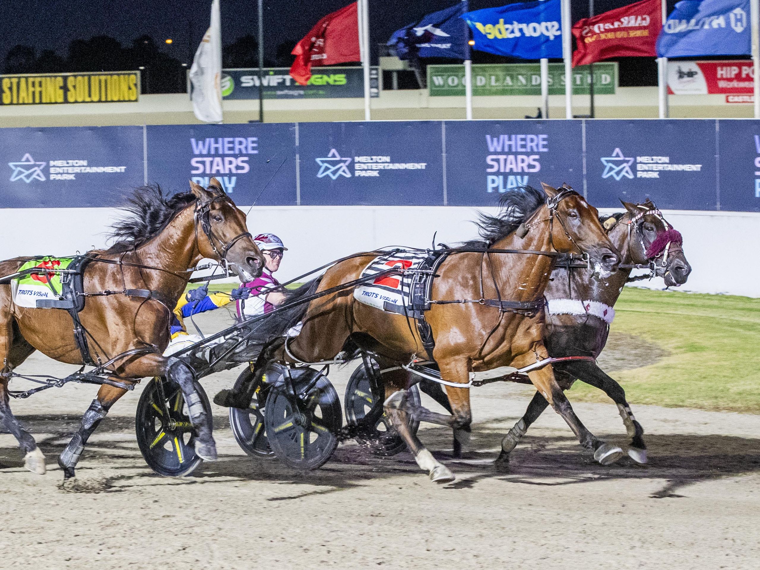 hamilton-hunter-cup-night-delivers-a-vintage-classic