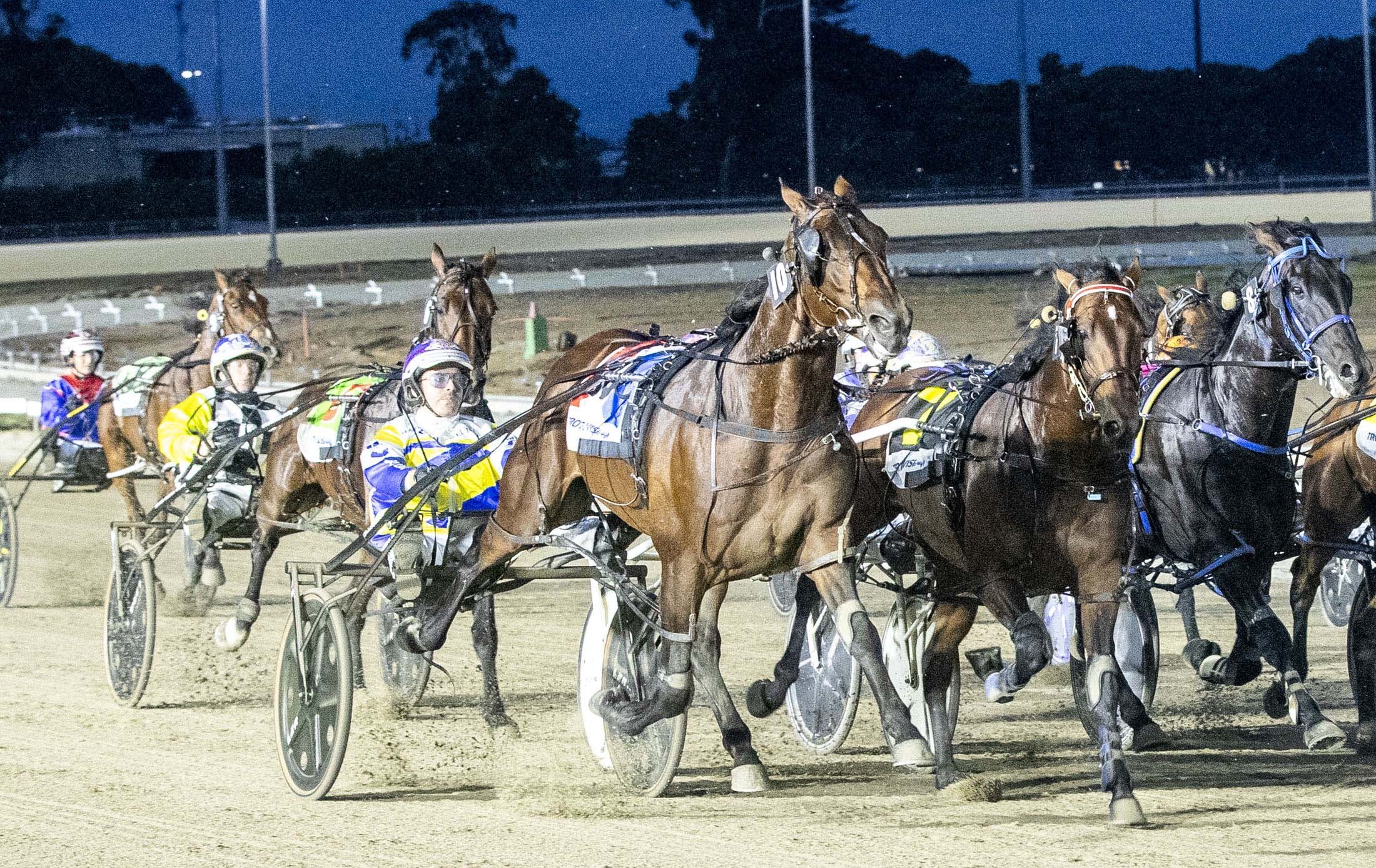 wharton-double-delight-for-champion-wagga-breeder