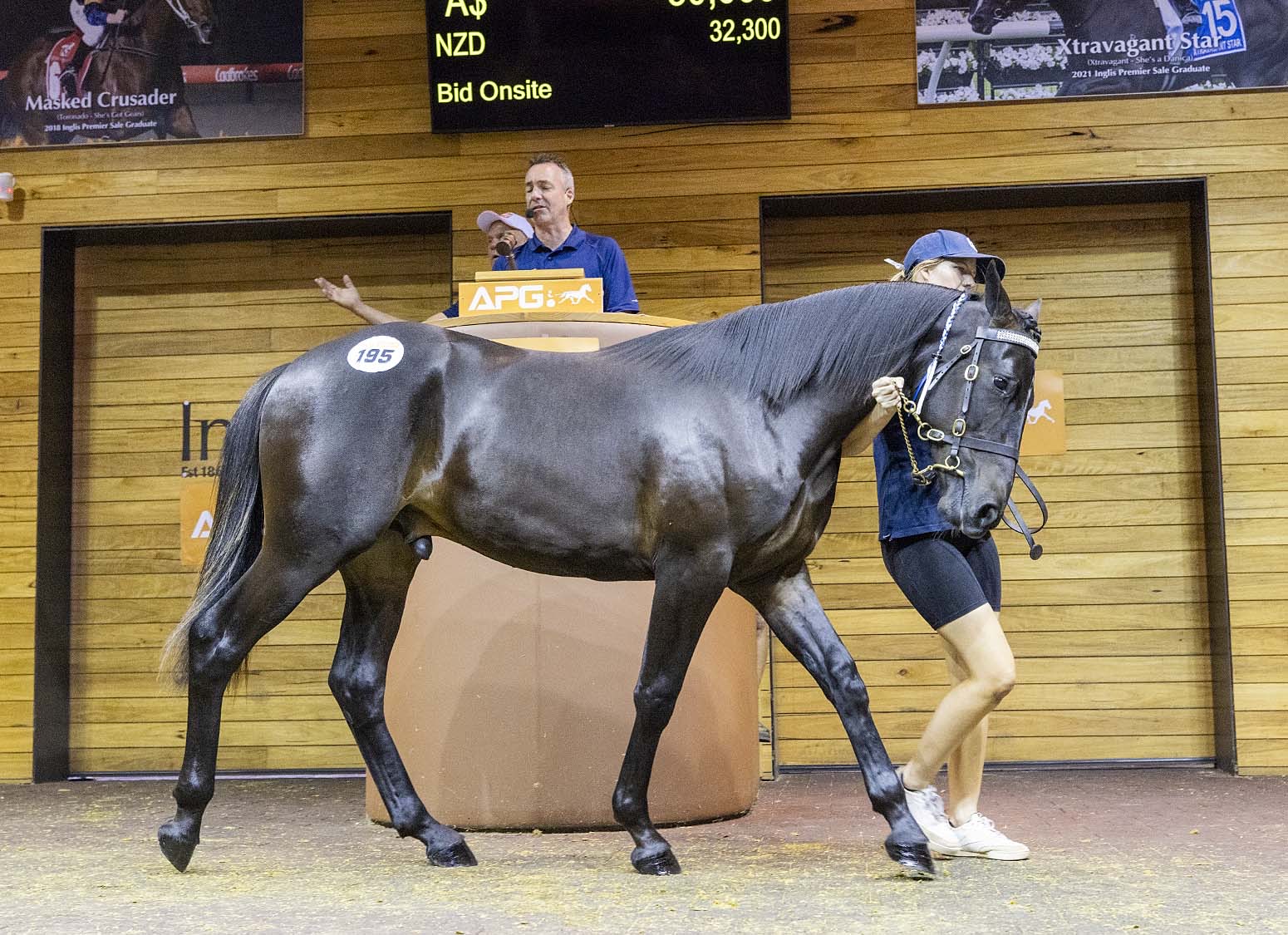 wharton-quality-abounds-in-apg-melbourne-yearling-sale